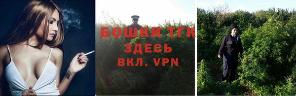 прущие крисы Мегион