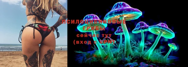 прущие крисы Мегион