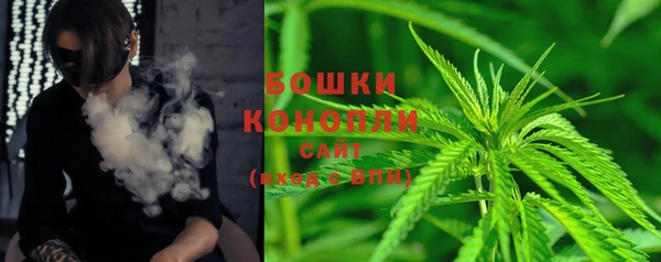 прущие крисы Мегион