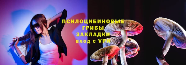 PSILOCYBIN Медногорск