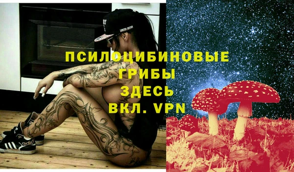 мдпв Медвежьегорск