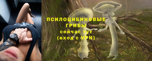 PSILOCYBIN Медногорск