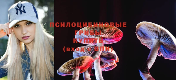 PSILOCYBIN Медногорск