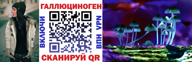 Купить  Себеж  Галлюциногенные грибы мухоморы 