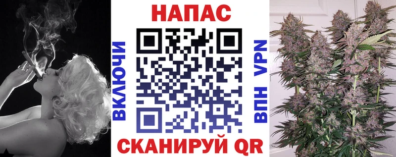 Купить  Себеж  Бошки Шишки SATIVA & INDICA 